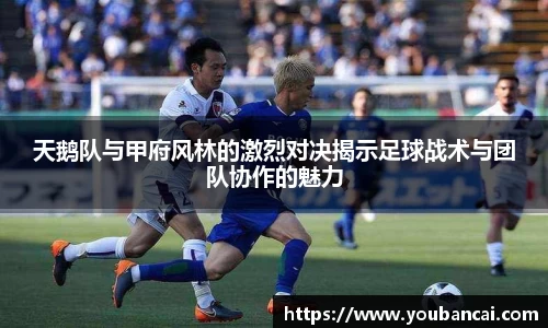 evo视讯登录入口.evo视讯官方网站